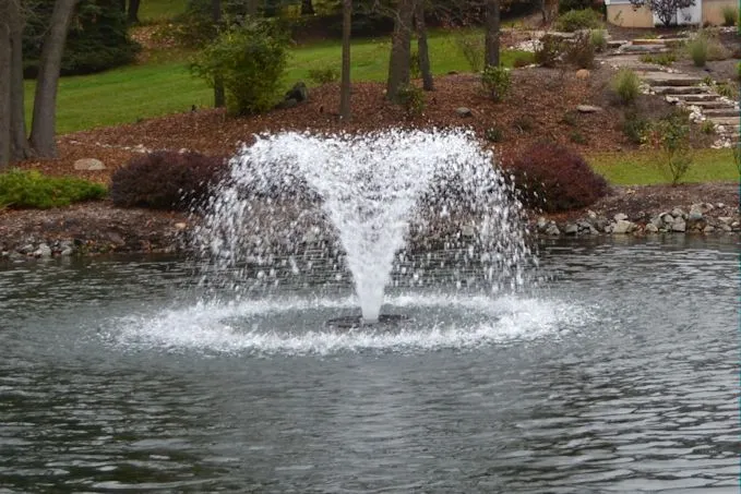 Otterbine Fractional drijvende fontein - beluchter 230V