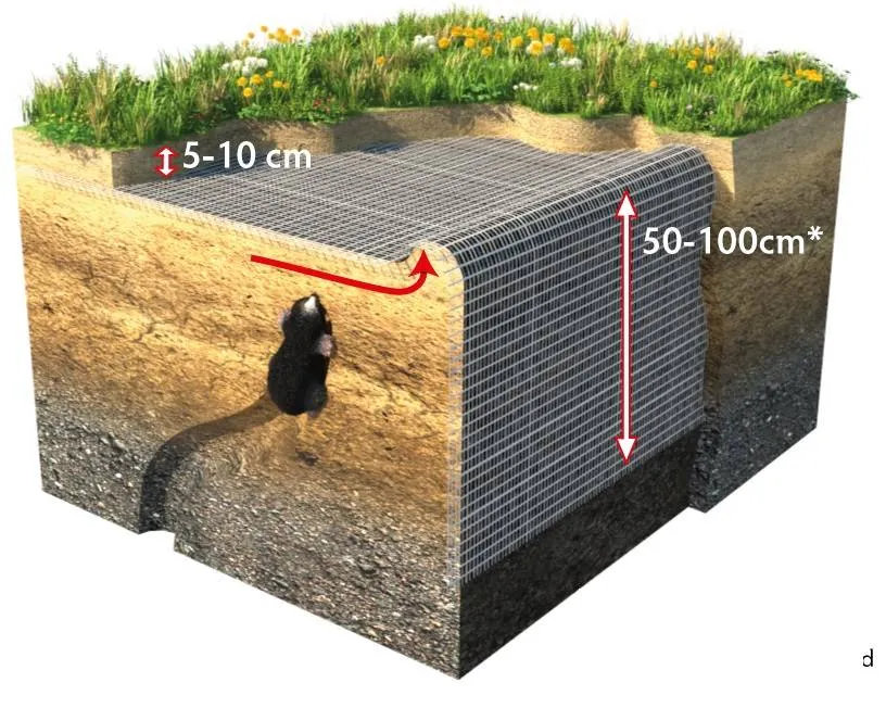 Mollengaas 110 G/M2 | L = 25 m B = 200 cm